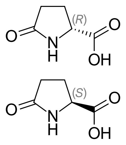 Pyroglutamic Acid